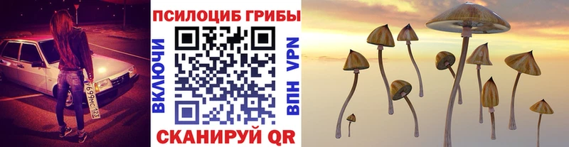 Купить где  Коркино  Галлюциногенные грибы GOLDEN TEACHER 